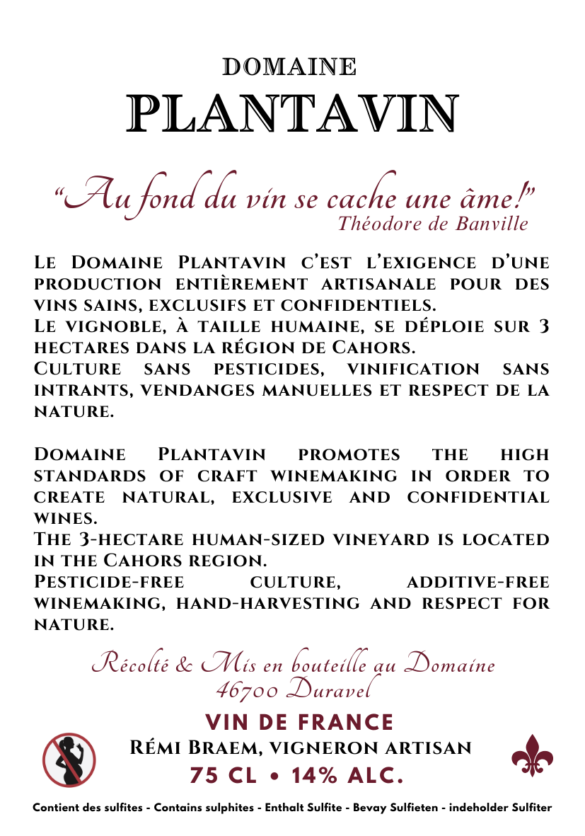 Domaine Plantavin C.E.P Malbec 2022
